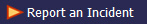  Report an Incident