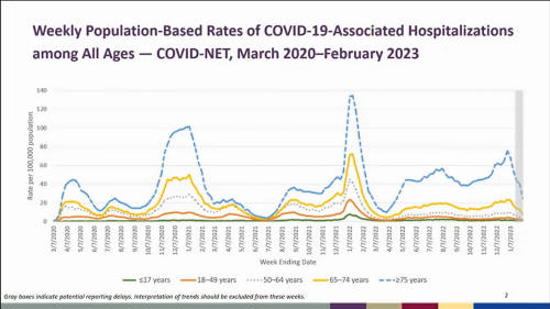 COVID-19 Hospitalizations By Age