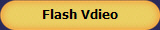Flash Vdieo