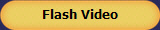 Flash Video