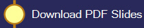  Download PDF Slides