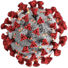 Coronavirus