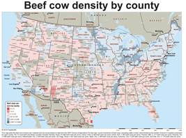 Beef Cow Density by County
