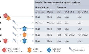 Hybrid Immunity